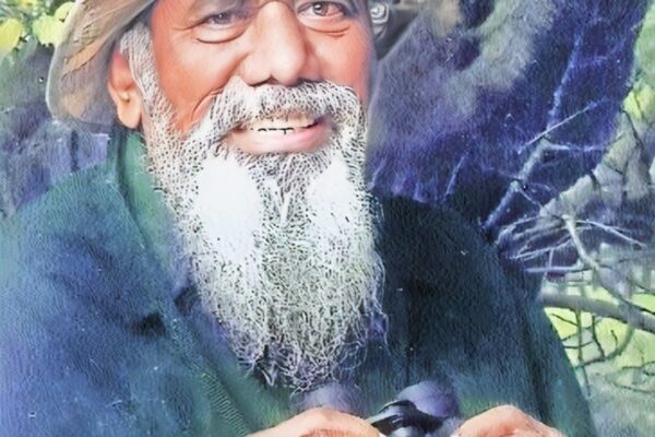 अरण्यऋषींच्या सावलीत….. संपादकीय